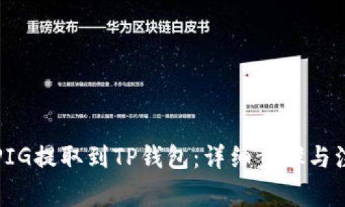 如何将PIG提取到TP钱包：详细步骤与注意事项