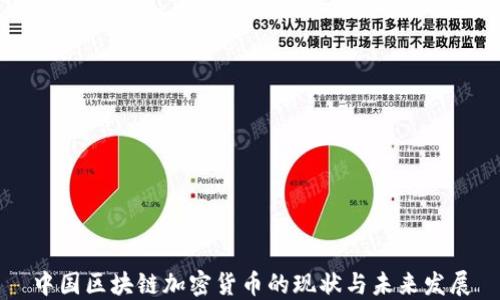 
中国区块链加密货币的现状与未来发展