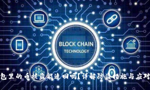 tp钱包里的币被盗能追回吗？详解防盗措施与应对策略
