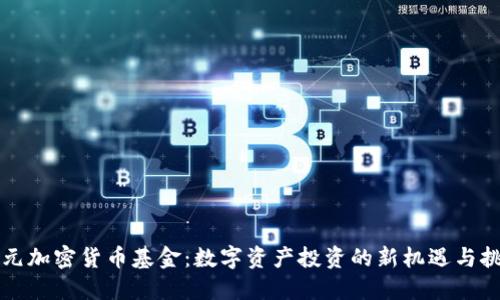 美元加密货币基金：数字资产投资的新机遇与挑战