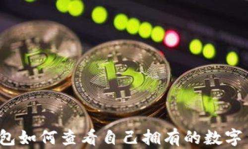 
TP钱包如何查看自己拥有的数字货币？