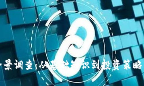 加密货币全景调查：从基础知识到投资策略的全面解析