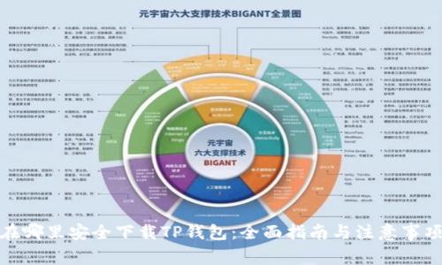 在哪里安全下载TP钱包：全面指南与注意事项
