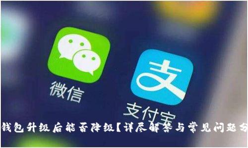 TP钱包升级后能否降级？详尽解答与常见问题分析