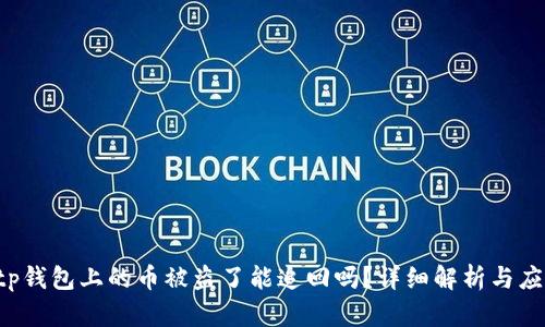 ziaotitp钱包上的币被盗了能追回吗？详细解析与应对措施