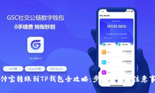 支付宝转账到TP钱包全攻略：步骤详解与注意事项