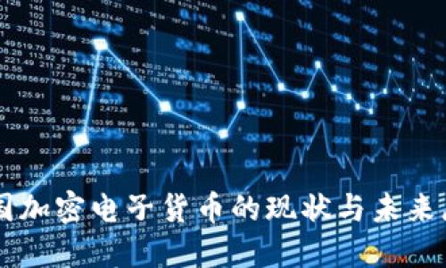 美国加密电子货币的现状与未来展望
