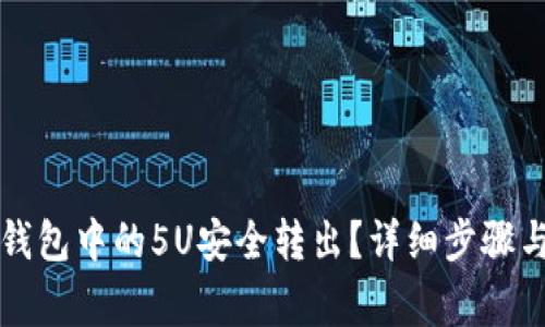 如何将TP钱包中的5U安全转出？详细步骤与注意事项