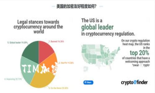 全方位解析TIM加密货币：投资、技术与未来前景