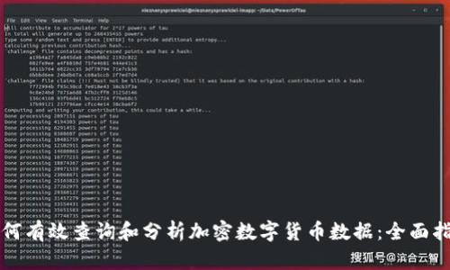 如何有效查询和分析加密数字货币数据：全面指南