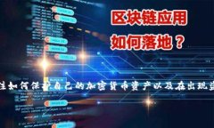 在关于TP钱包（Trust Wallet）私钥被盗的主题下，用