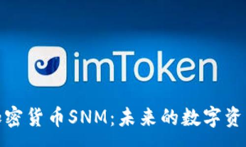 :
深入探索加密货币SNM：未来的数字资产投资机会