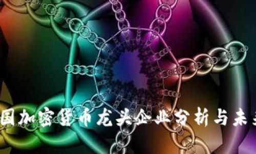 2023年中国加密货币龙头企业分析与未来发展趋势