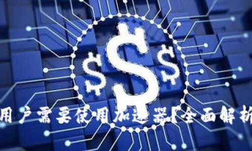 : 为什么TP钱包用户需要使用加速器？全面解析加速器的必要性