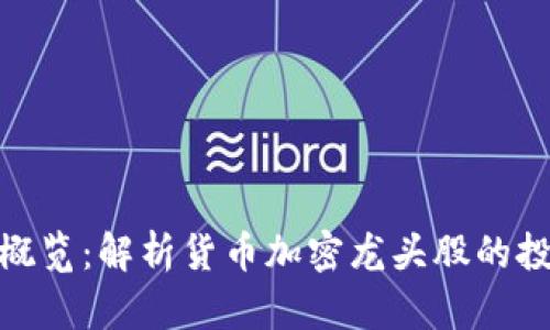 数字货币市场概览：解析货币加密龙头股的投资机会与风险